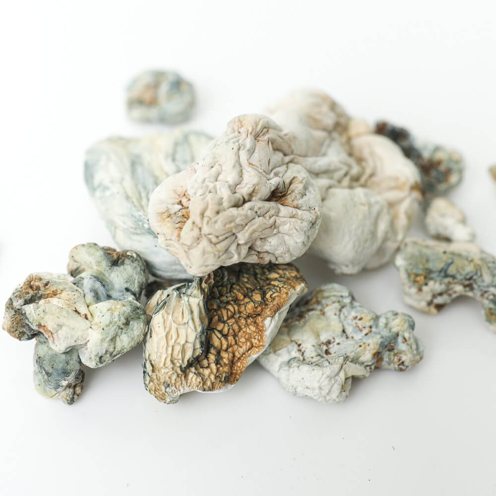 enigma-shrooms-3-magic-mushroom-delivery-toronto.jpg